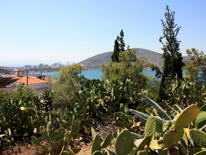 Chalkida- panorama 