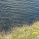 Jezioro_można zauważyć dno, taka jest czysta woda w jeziorze