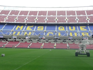 Stadion z poziomu murawy 1