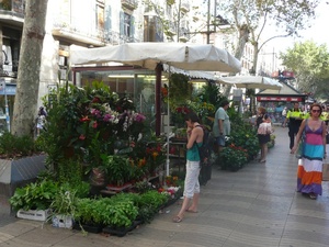 Kwiaciarnie na La Rambla