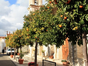 Lania - kościół w pomarańczach