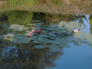 Hajże w plener  2011_09     03