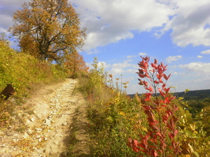 Janowiec nad Wisłą