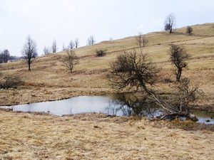 Wisłoka 23