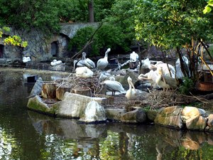 Berlin ZOO