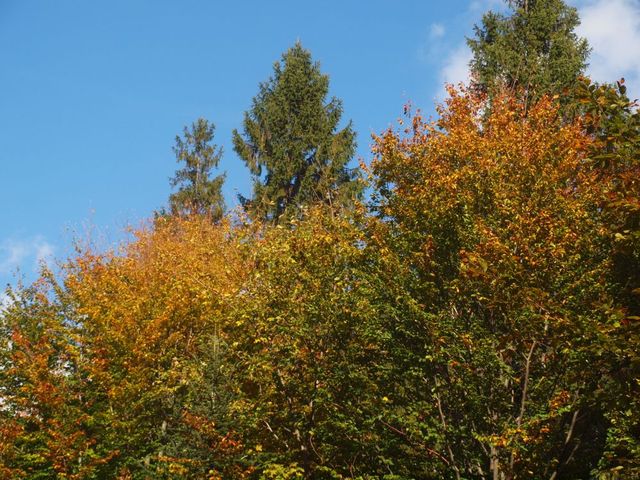 Obok schroniska 