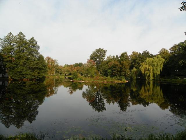 Fragment parku w Zwierzyńcu