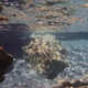 1619214 - Kreta Morze Kretenskie pod woda