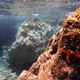 1619216 - Kreta Morze Kretenskie pod woda