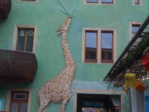 żyrafa w Dreźnie