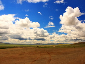Droga w Mongolii