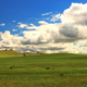Krajobraz stepu mongolskiego