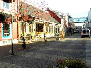 jesień w centrum