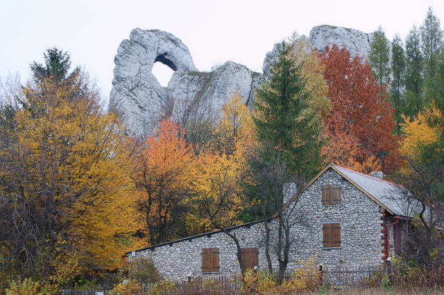 Okiennik Duży