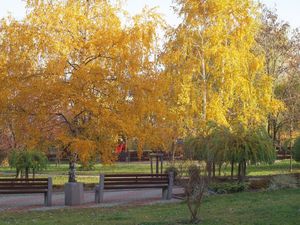 Promenada Niemena