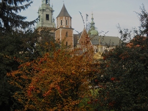 Wawel - widok na katedrę