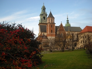 Wawel - widok na katedrę