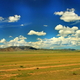 krajobraz stepu mongolskiego