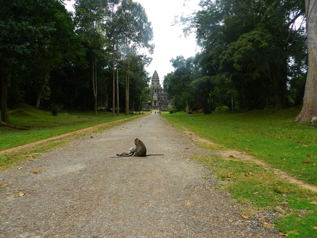 Lokatorzy Angkoru