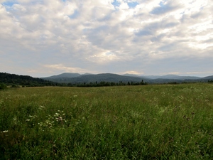 Bieszczady