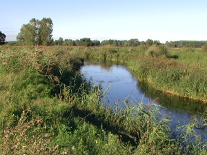 Pic 6873