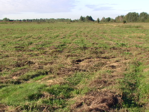 Pic 6843