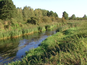 Pic 6872