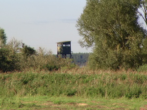 Pic 6874
