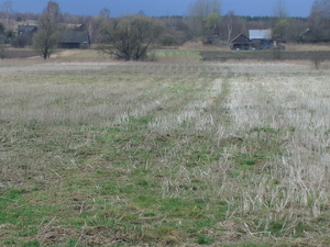Pic 5322