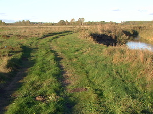 Pic 0247
