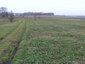 Pic 2963