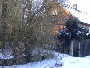 Pic 0915