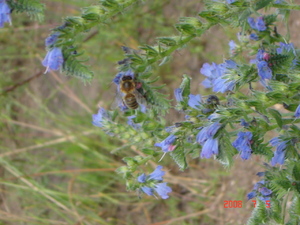Dsc00205