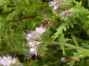 Dsc00299