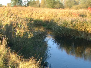 rzeka Świsłocz