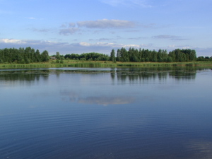 Pic 0465