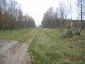Img 0181