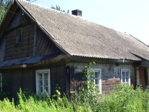 Pic 3370