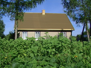 Pic 2905