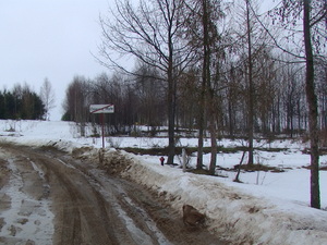 Pic 2768