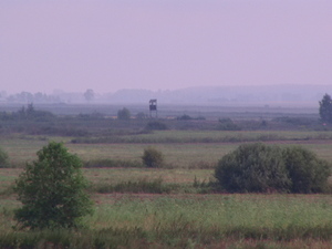 Wieżyczka w tle pilnuje białoruskiego raju.