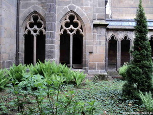 patio katedralne