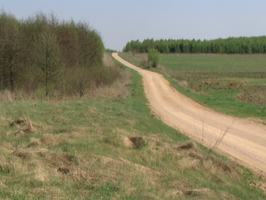 Droga do zalewu Ozierany, gdzie ukrywa się smok....