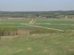 Pradolina Nietupy
