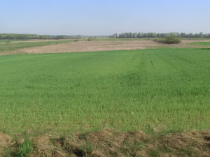 Pradolina Nietupy
