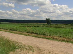 Dolina Nietupy.