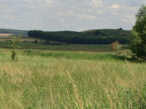 Dolina Nietupy.