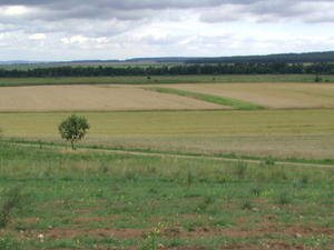 Widoki na  pradolinę Świsłoczy