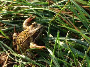 Pic 0810