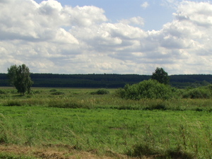 Dolina Nietupy.
